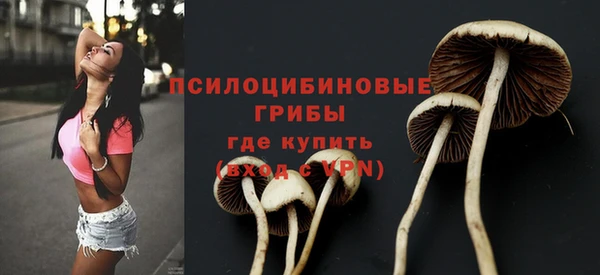 гидра Корсаков