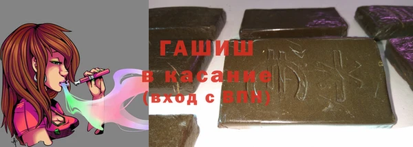 гидра Корсаков