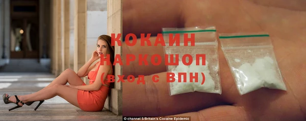 бошки Коряжма