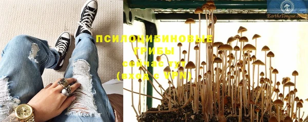бошки Кодинск