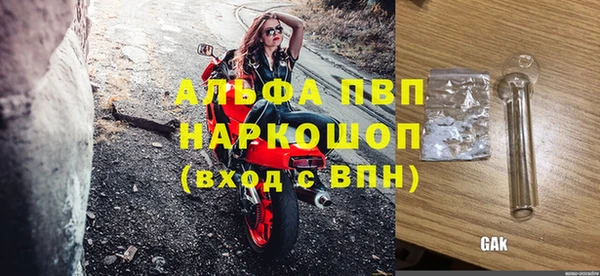 гашик Козельск