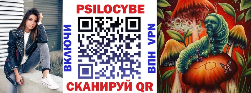 Галлюциногенные грибы Psilocybine cubensis  Тотьма 